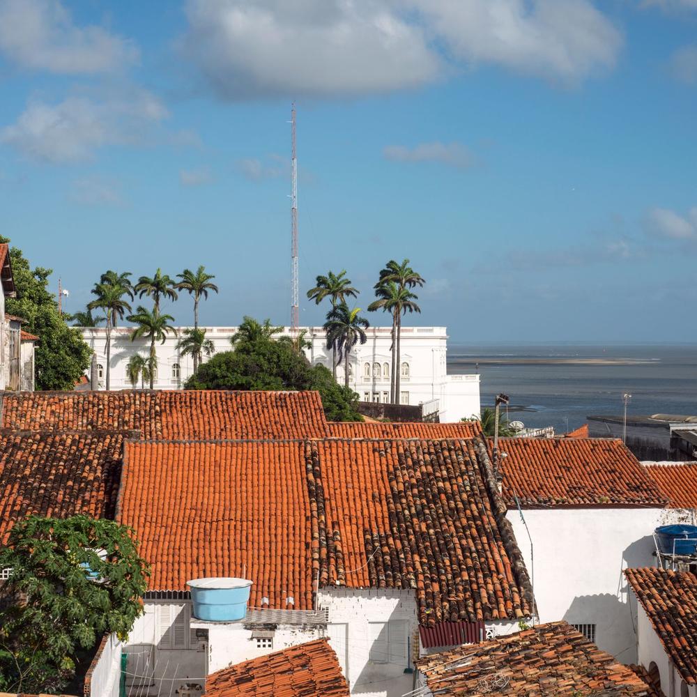 Condor Travel-item-1