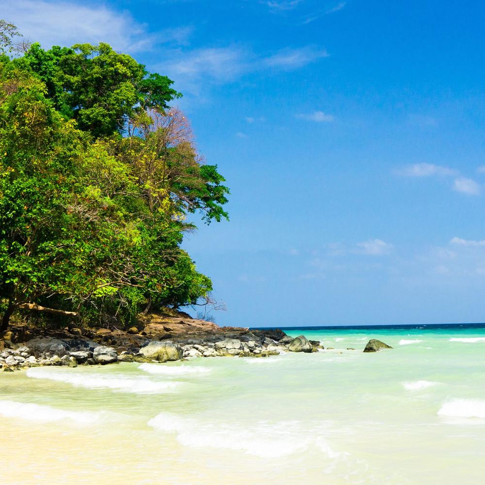 WAU Madagascar-item-0