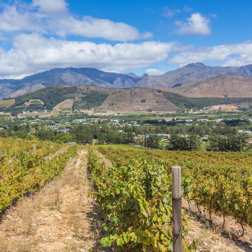 Cullinan Guided Journeys-item-0