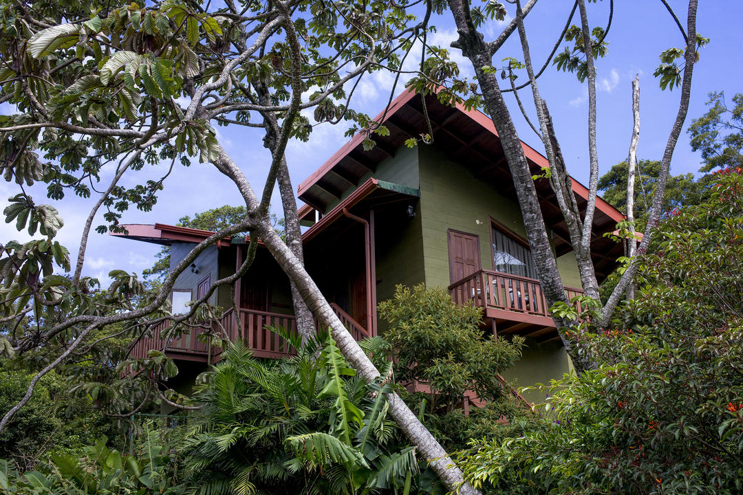 Santa Elenaimage - 1