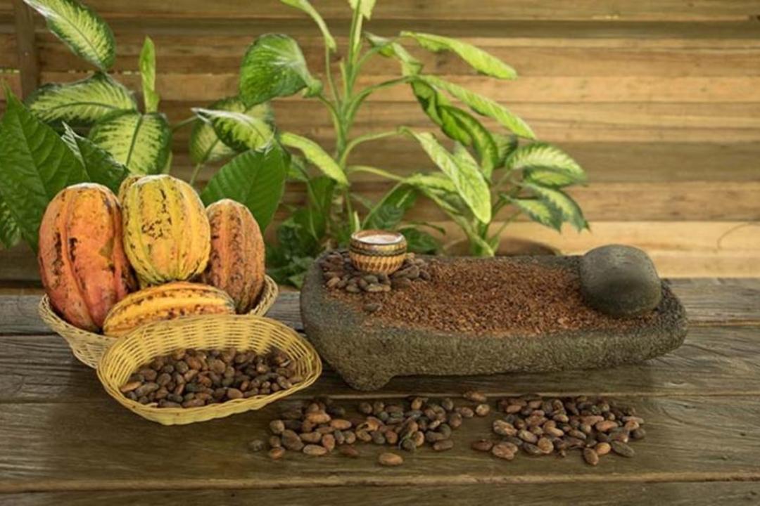 Puerto Viejo de Sarapiquiimage - 0