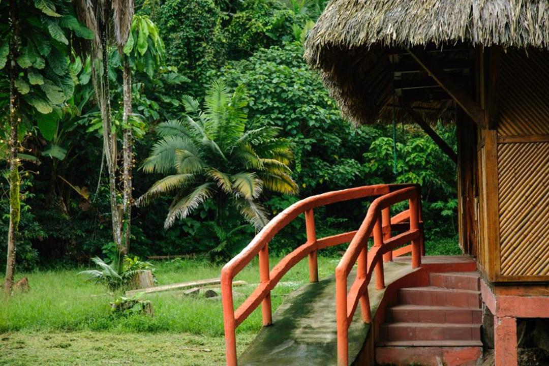 The Amazon Ecuadorimage - 1