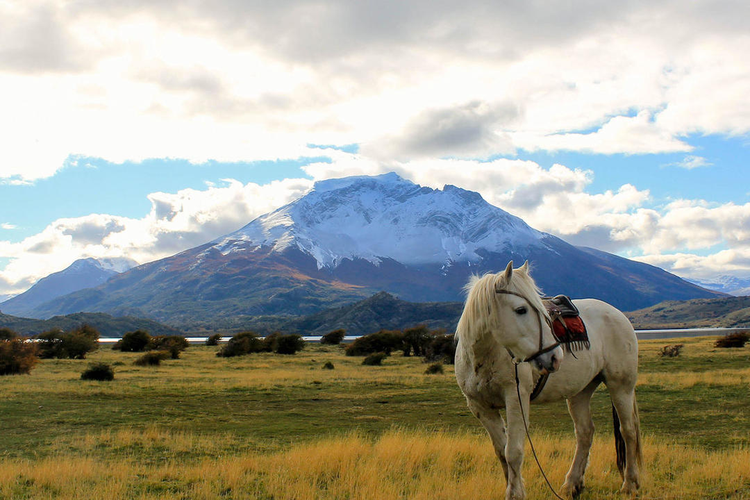 Torres del Paineimage - 1