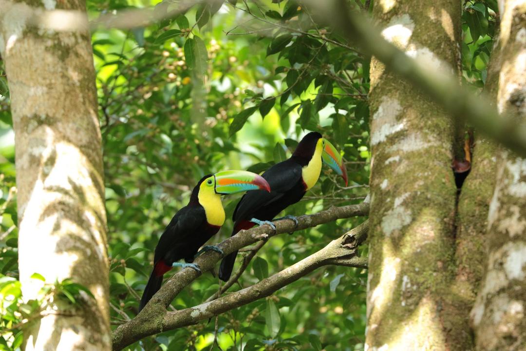 Puerto Viejo de Sarapiquiimage - 1