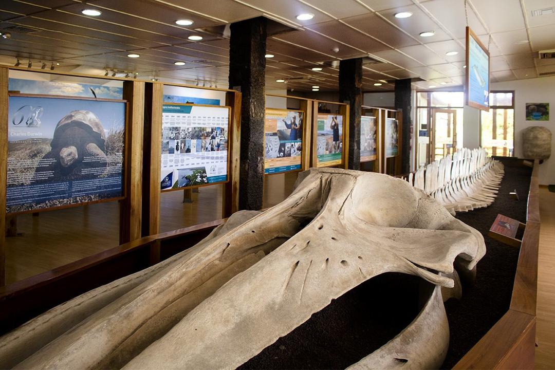 Santa Cruz Islandimage - 0