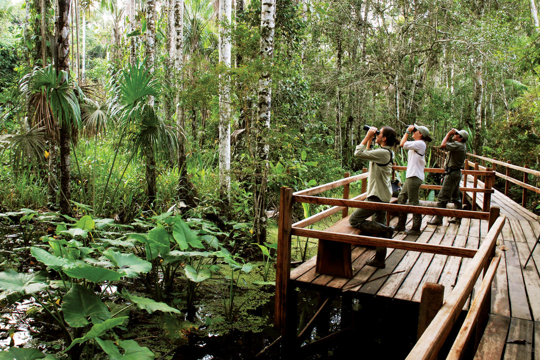 Resans slutimage - 1