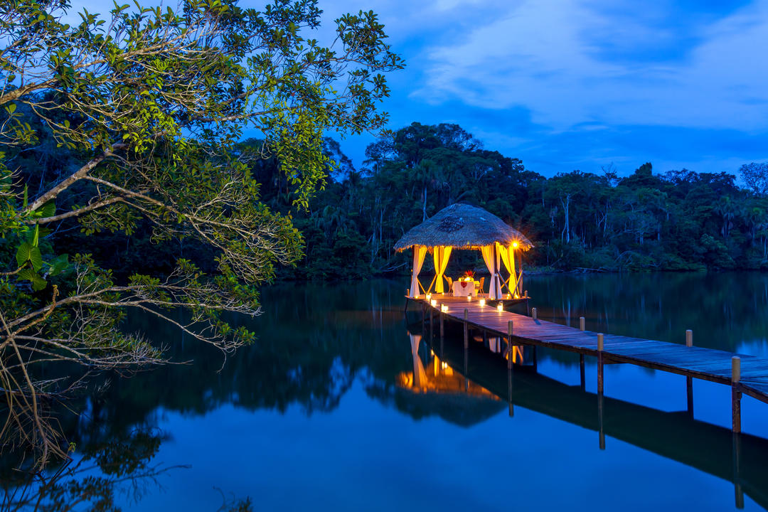 The Amazon Ecuadorimage - 1