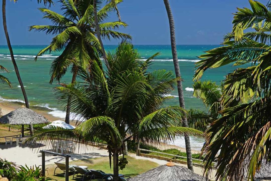 Praia do Forteimage - 1