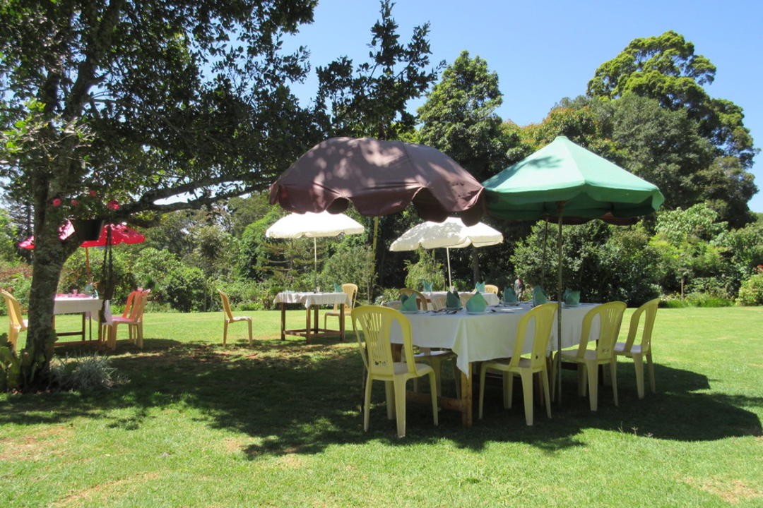 Kiambethu Teupplevelseimage - 0