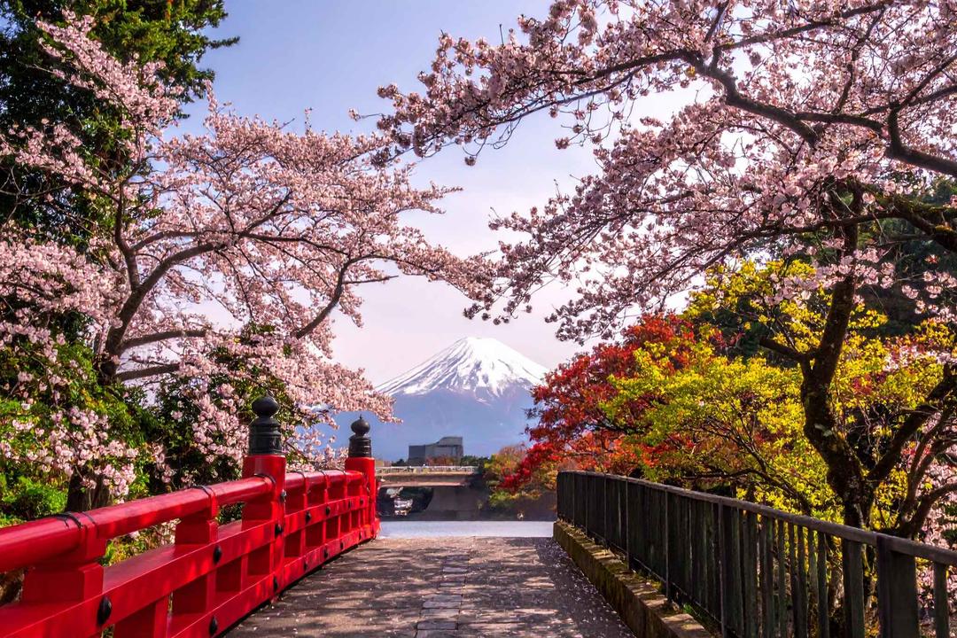 Fuji-Hakone-Izu nationalparkimage - 0