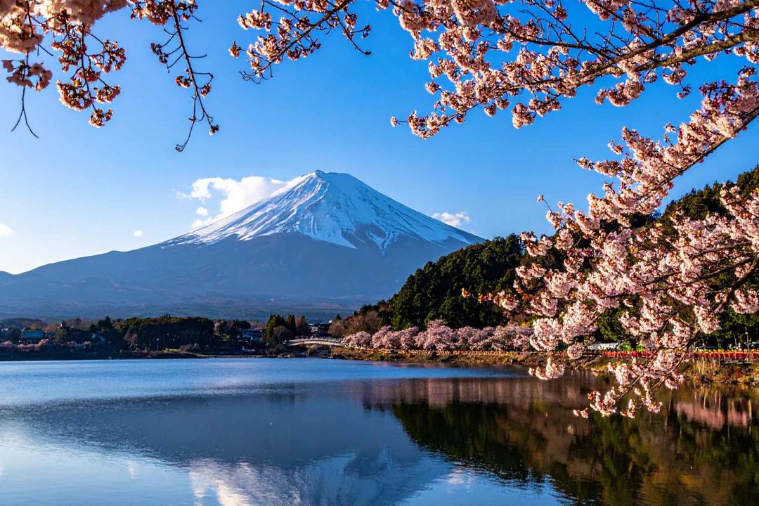 Fuji-Hakone-Izu nationalparkimage - 1