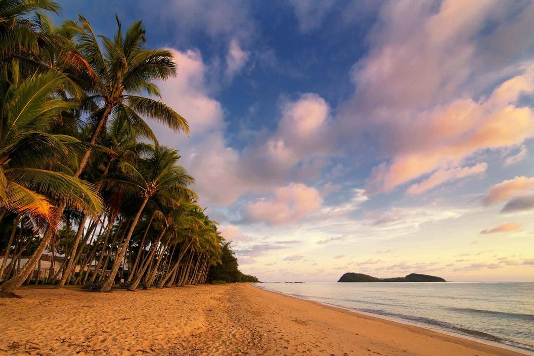 Palm Coveimage - 0