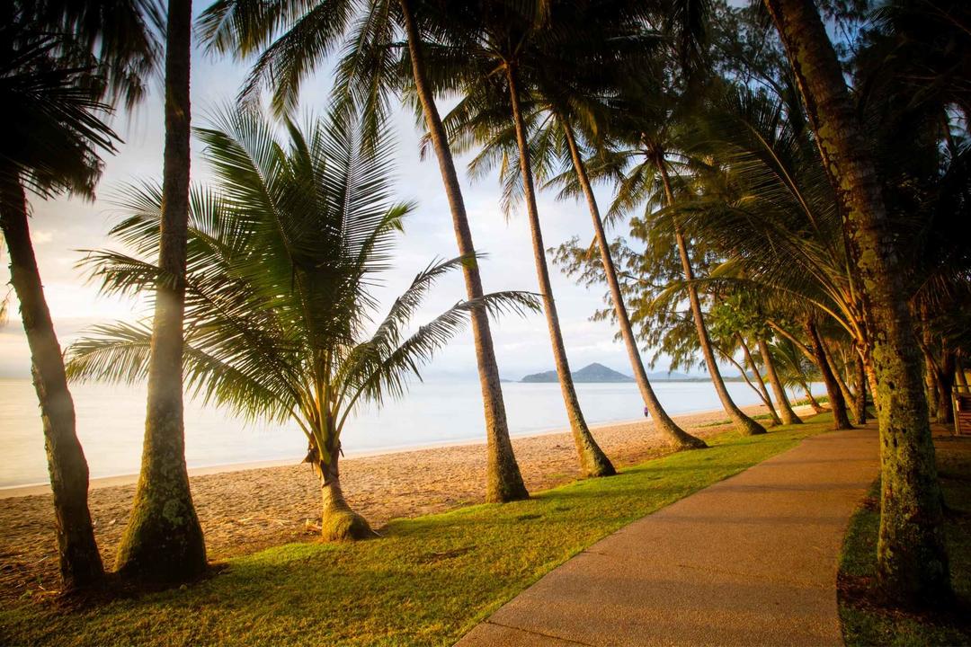Palm Coveimage - 1