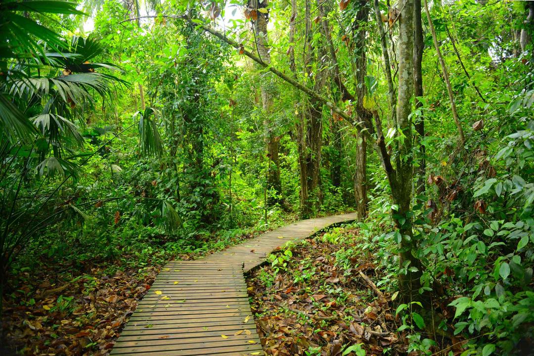 Tayrona nationalparkimage - 0
