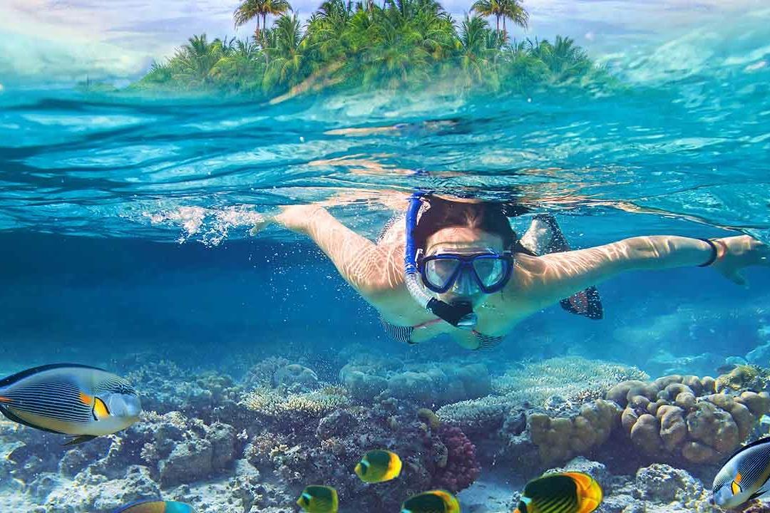 Tortuga Islandimage - 1