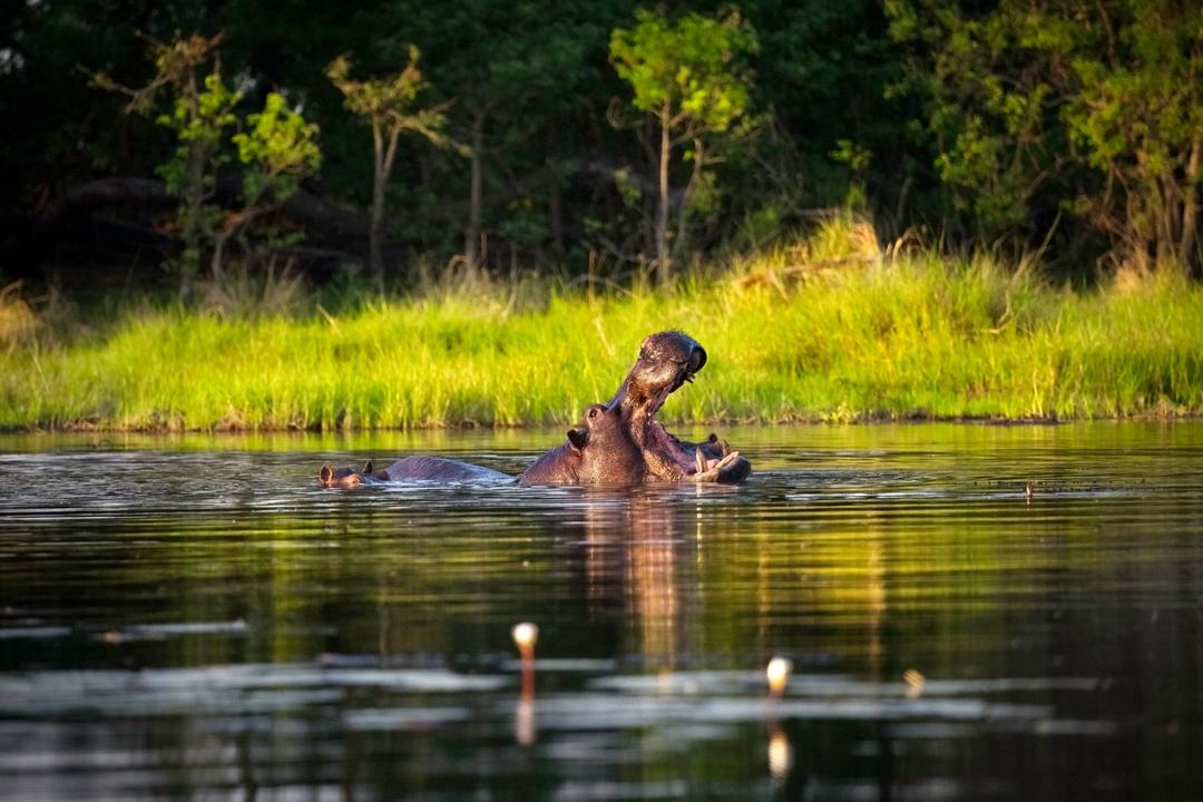 Caprivi Eastimage - 0