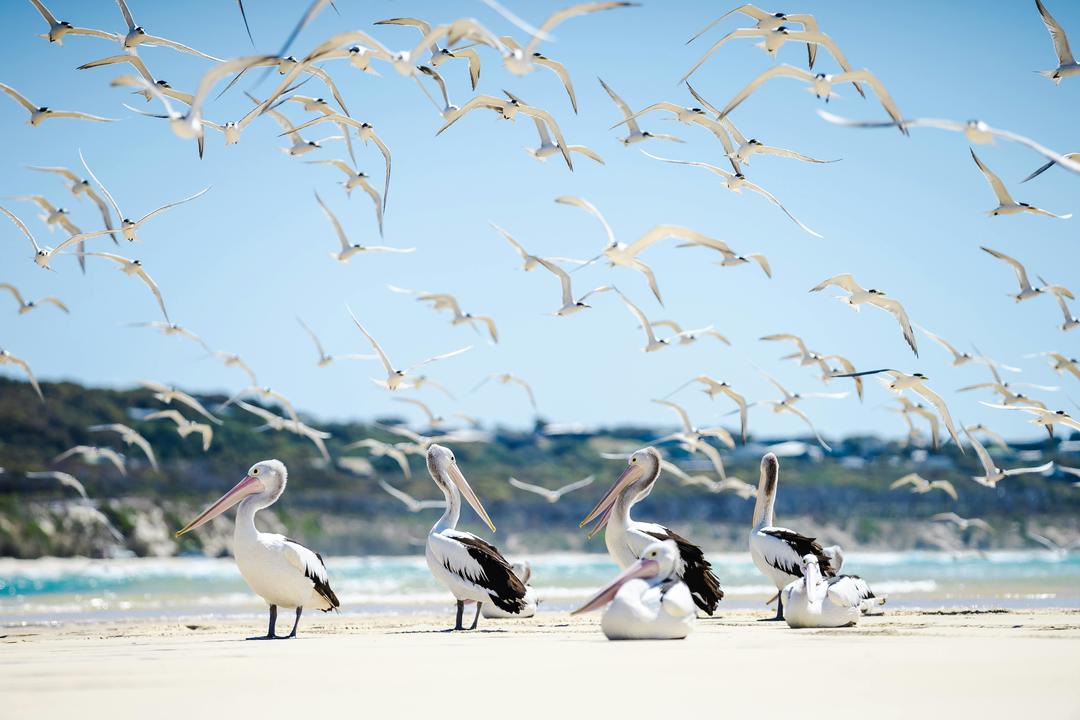 Fraser Islandimage - 0