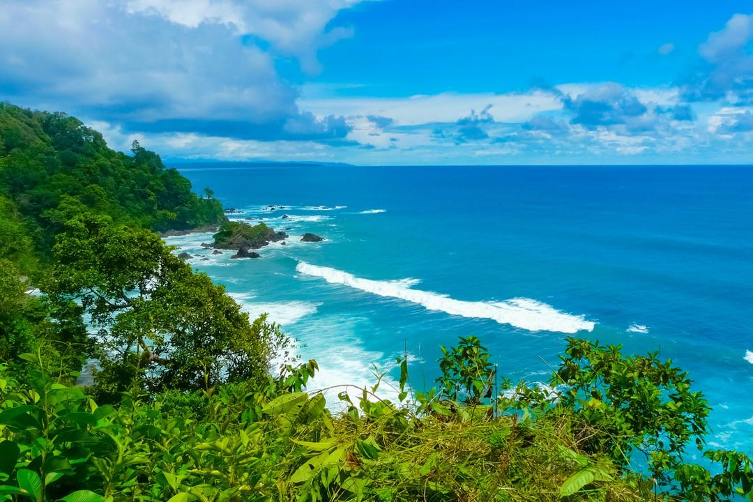 Osa Peninsulaimage - 0