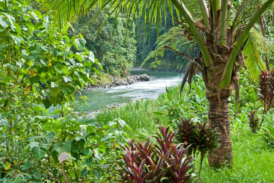 Arenal Volcano National Parkimage - 0