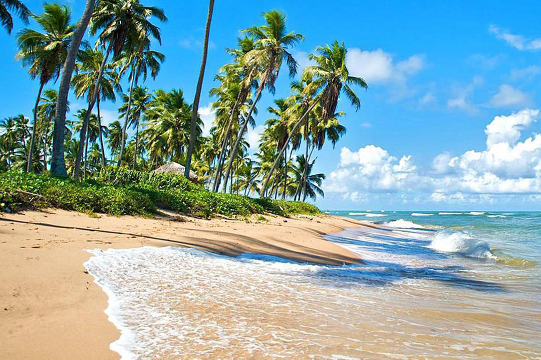 Praia do Forteimage - 1