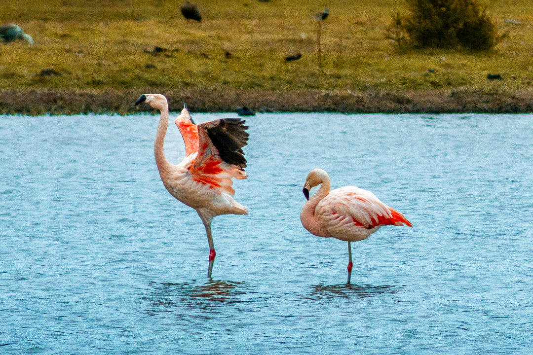 Resans slutimage - 1