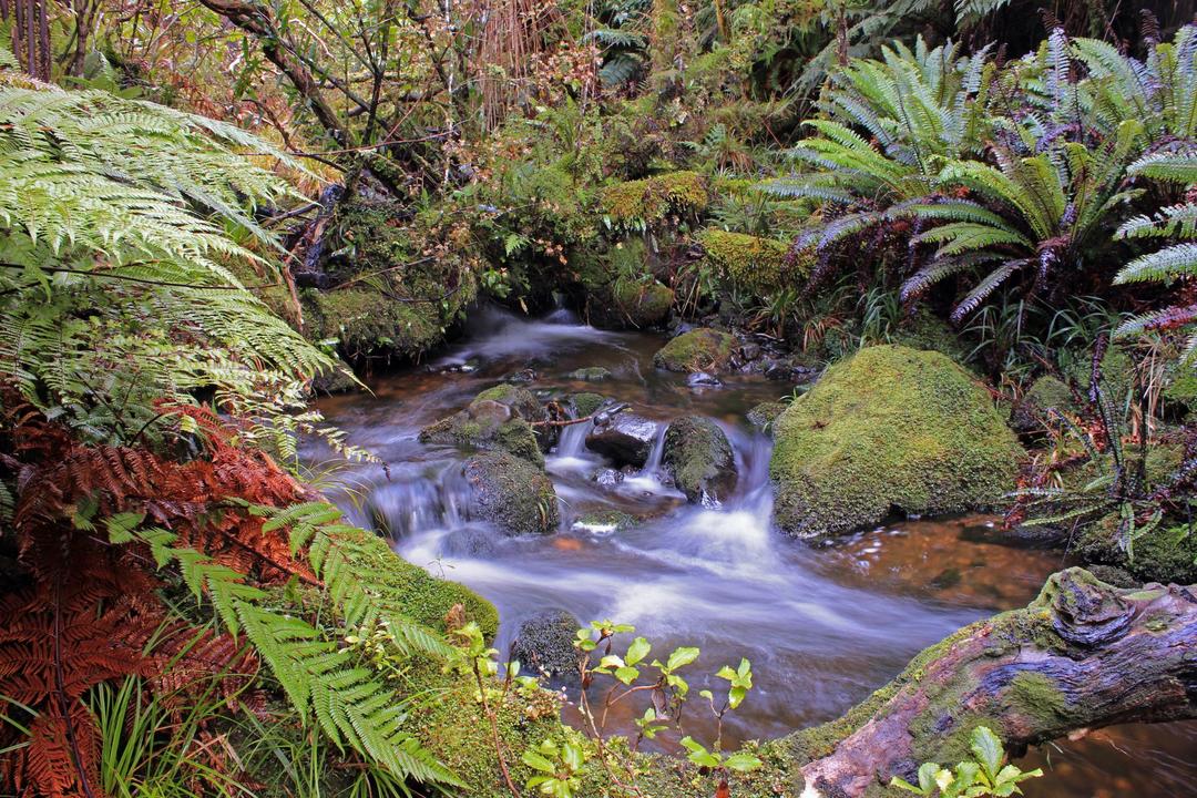 Invercargillimage - 1