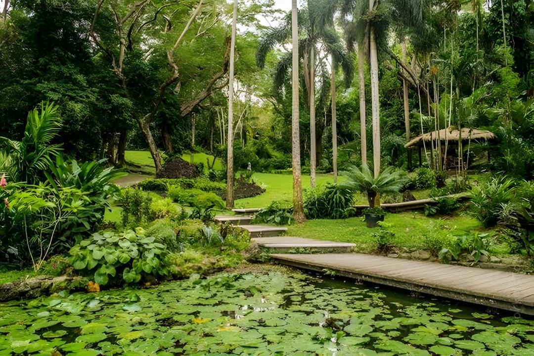 Fijis varma källorimage - 1