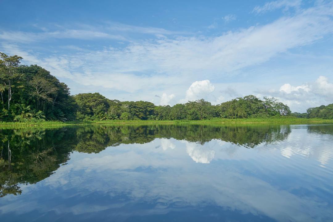 Panama Cityimage - 0