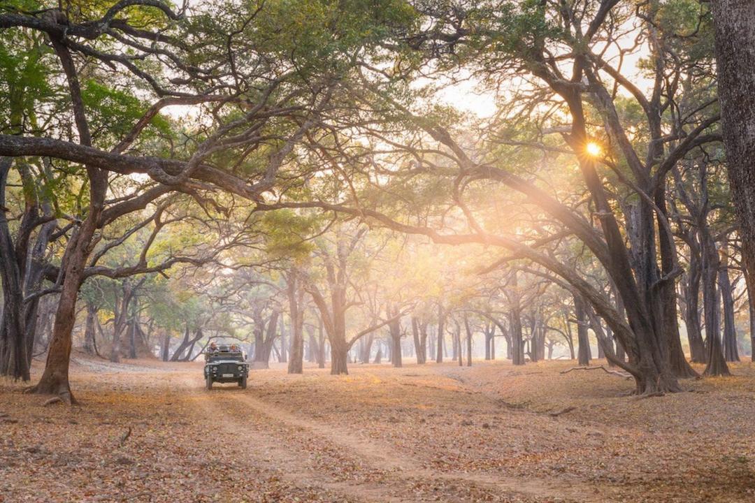 South Luangwa nationalparkimage - 1