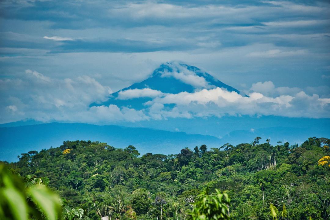 The Amazon Ecuadorimage - 1