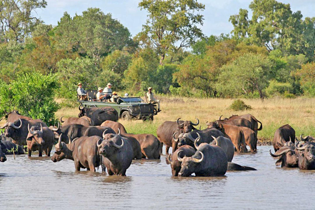 Victoriafallen (Zimbabwe)image - 1