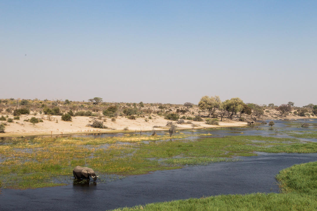 Boteti River - Makgadikgadi Pans National Parkimage - 0