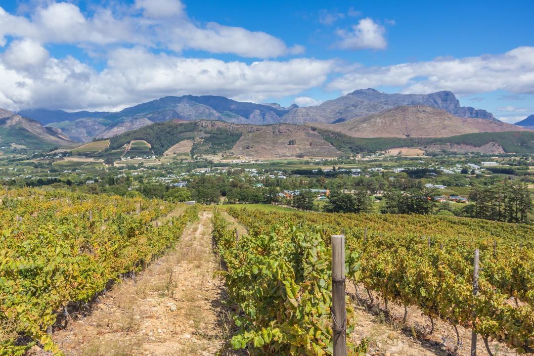 Heldag Vindistriktenimage - 0