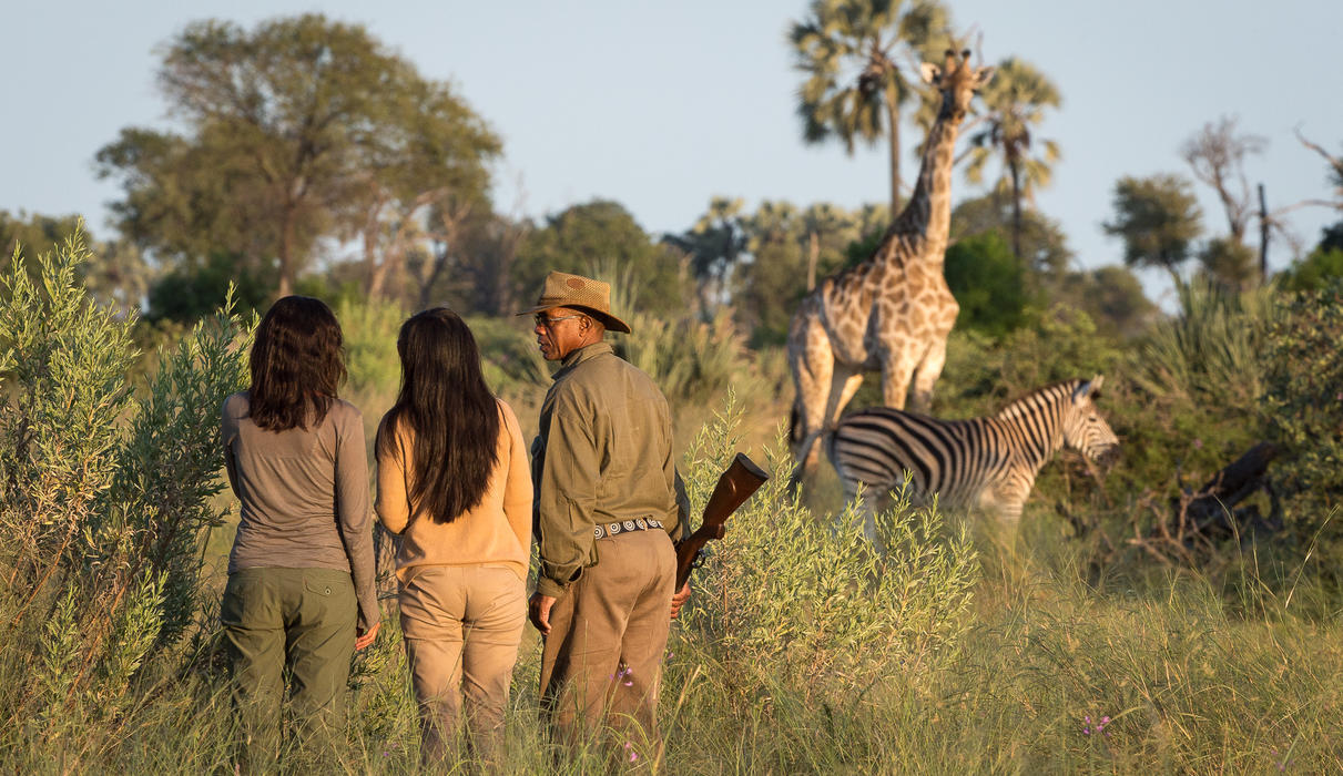 Walking safaris are available on request