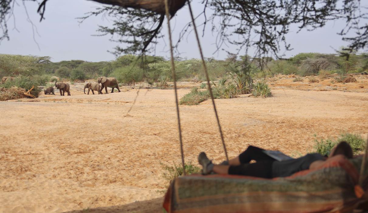 Relax in the tree bed at Banda 2 overlooking the waterhole visited daily by elephants
