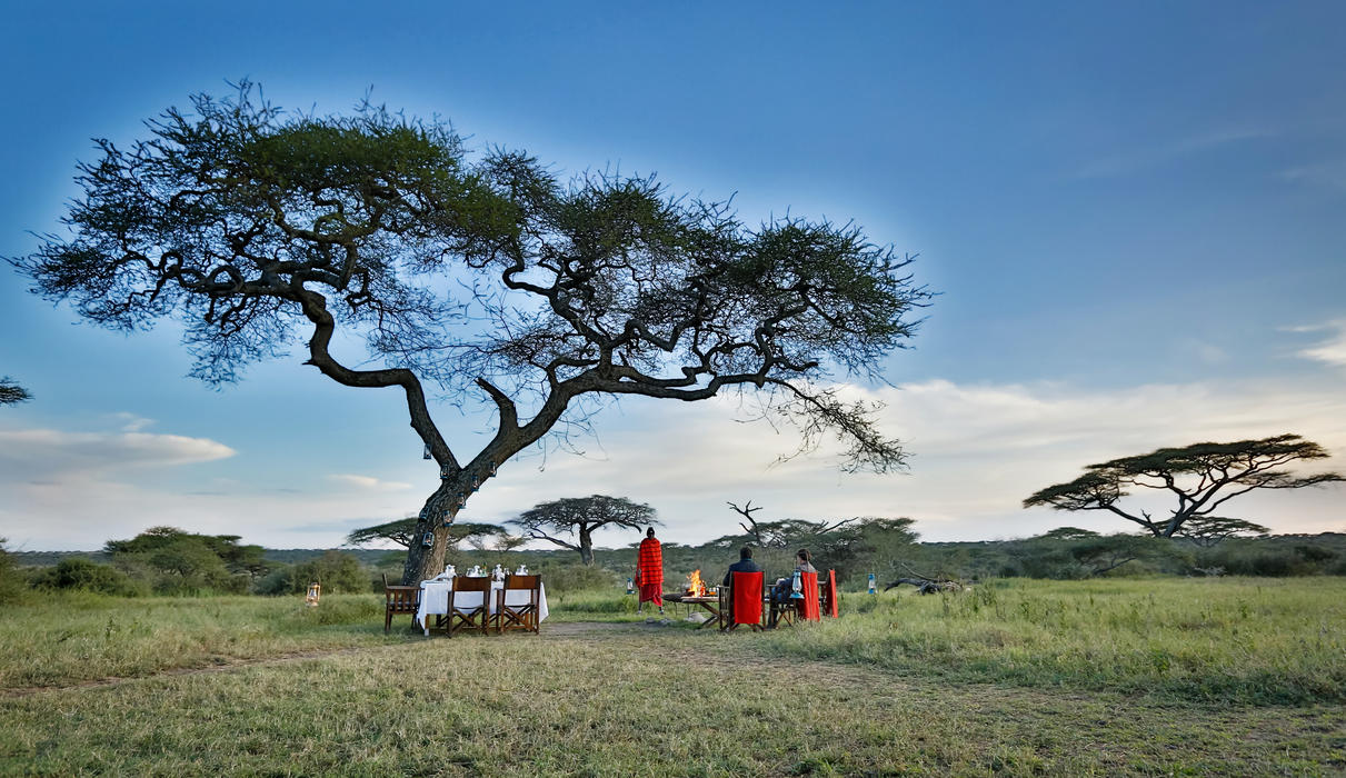 Enjoy a bush dinner under the skies, privately hosted affording you a truly unique eating experience under the skies