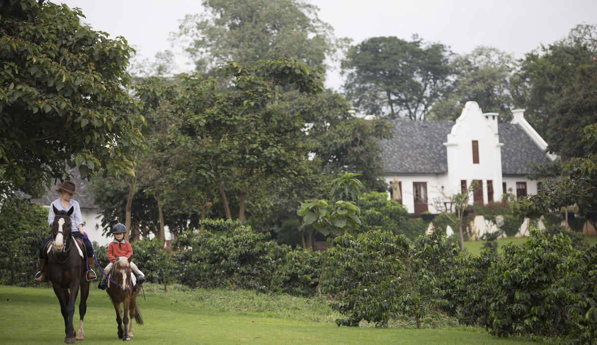 Horse riding is a fun way to explore the coffee fields and surrounding countryside