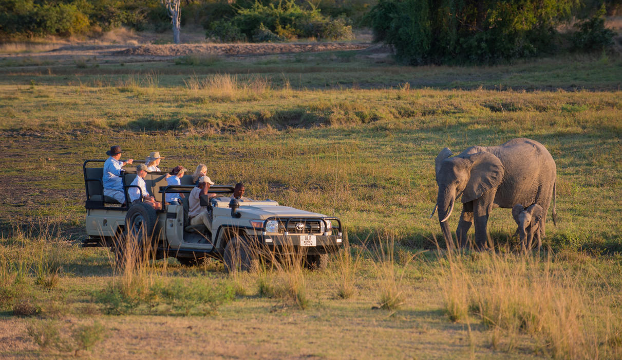 Game viewing experiences