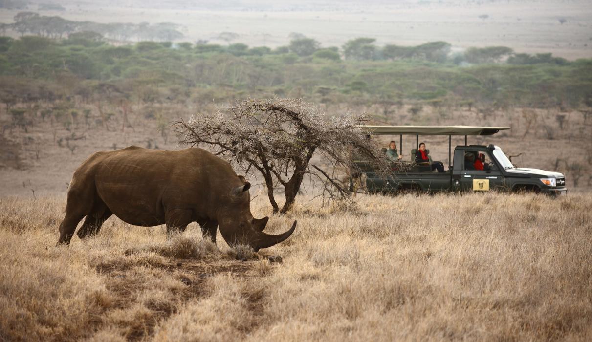 Game drives and game viewing