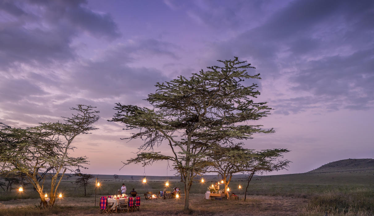 A magical scene for an unforgettable bush dining experience