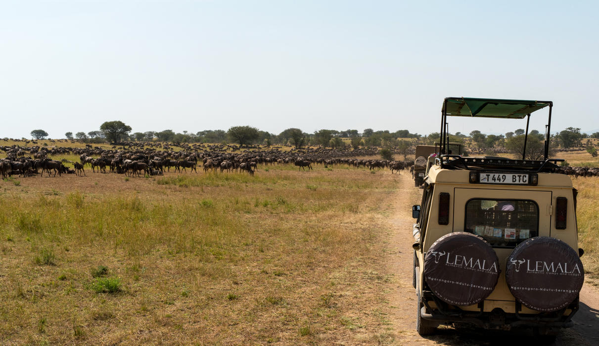 Lemala Ndutu Mobile Tented Camp, Serengeti National Park, Tanzania - 2023 /  2024