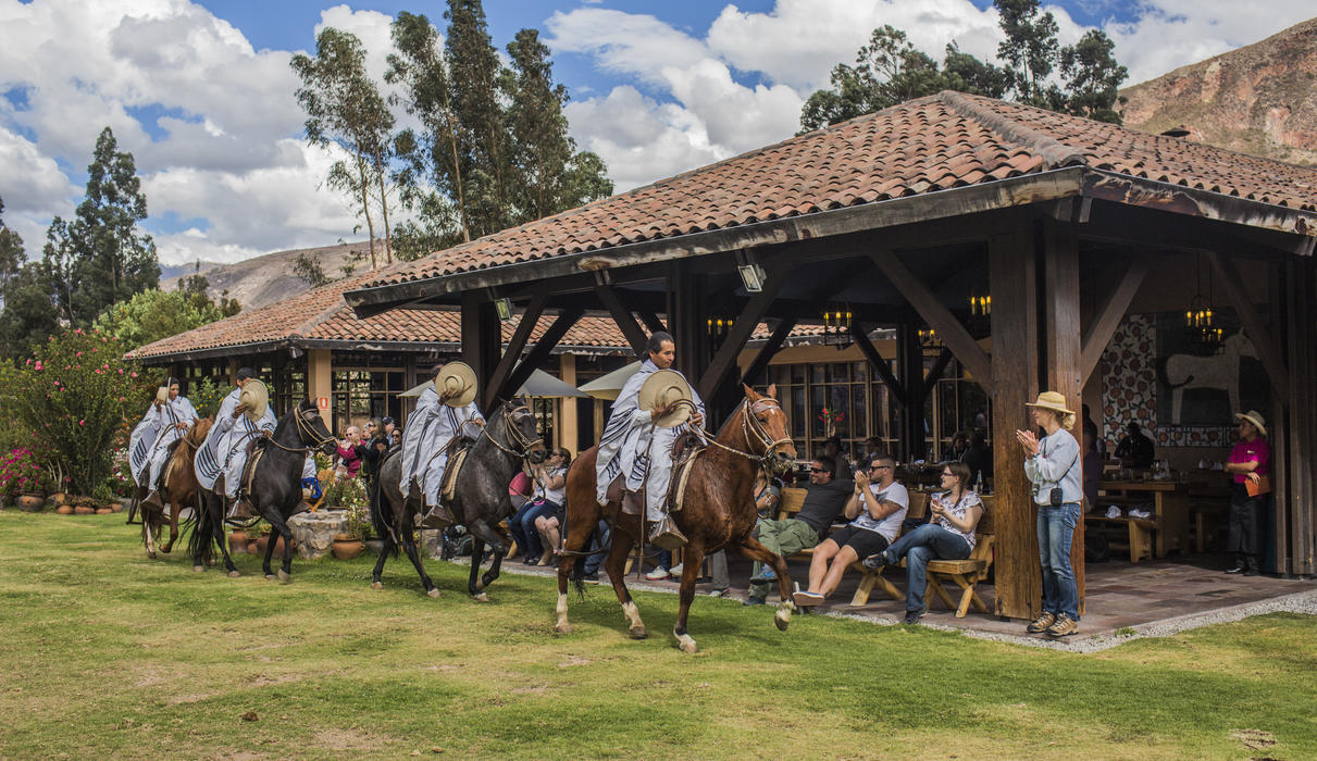 Peruvian Paso Horses  Show at Wayra
