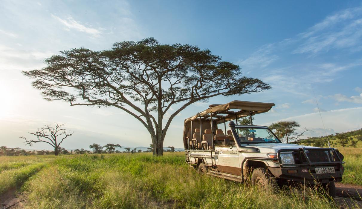 every booking is allocated a private 4x4 with an experienced Ranger and local spotter