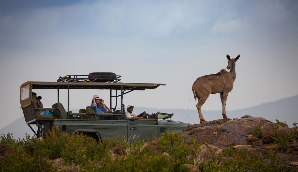 Guest Activities - Game drives in custom built 4x4 vehicles