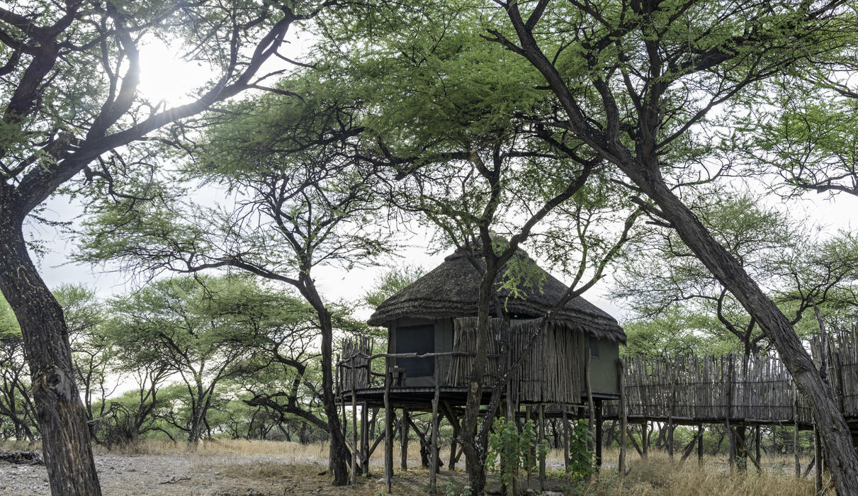 Stilted Tree house at Onguma Tree Top