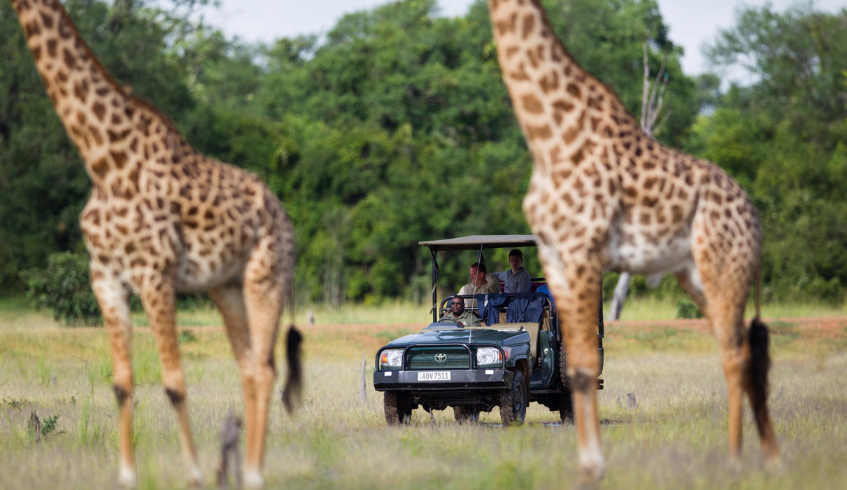 Explore the South Luangwa's game rich ecosystems