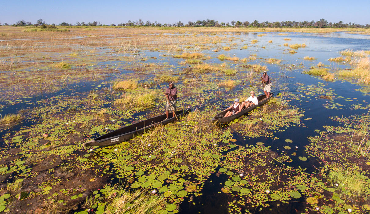 Poling across an Okavango floodplain in a traditional mokoro