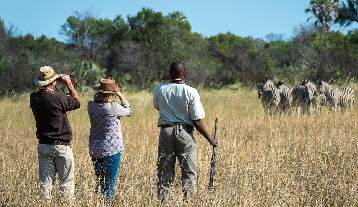 Bush walk with safari guide