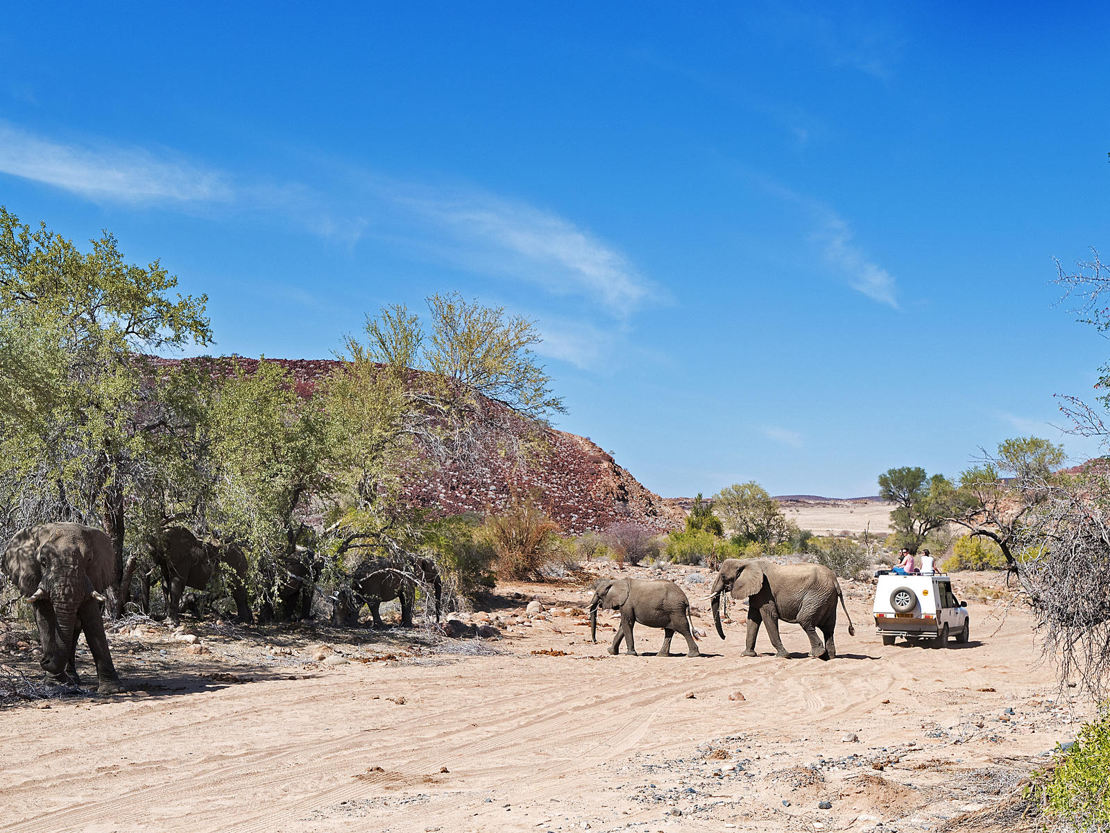 Namibia | Uis Elephant Guesthouse – Uis | DIAMIR Erlebnisreisen – Statt ...