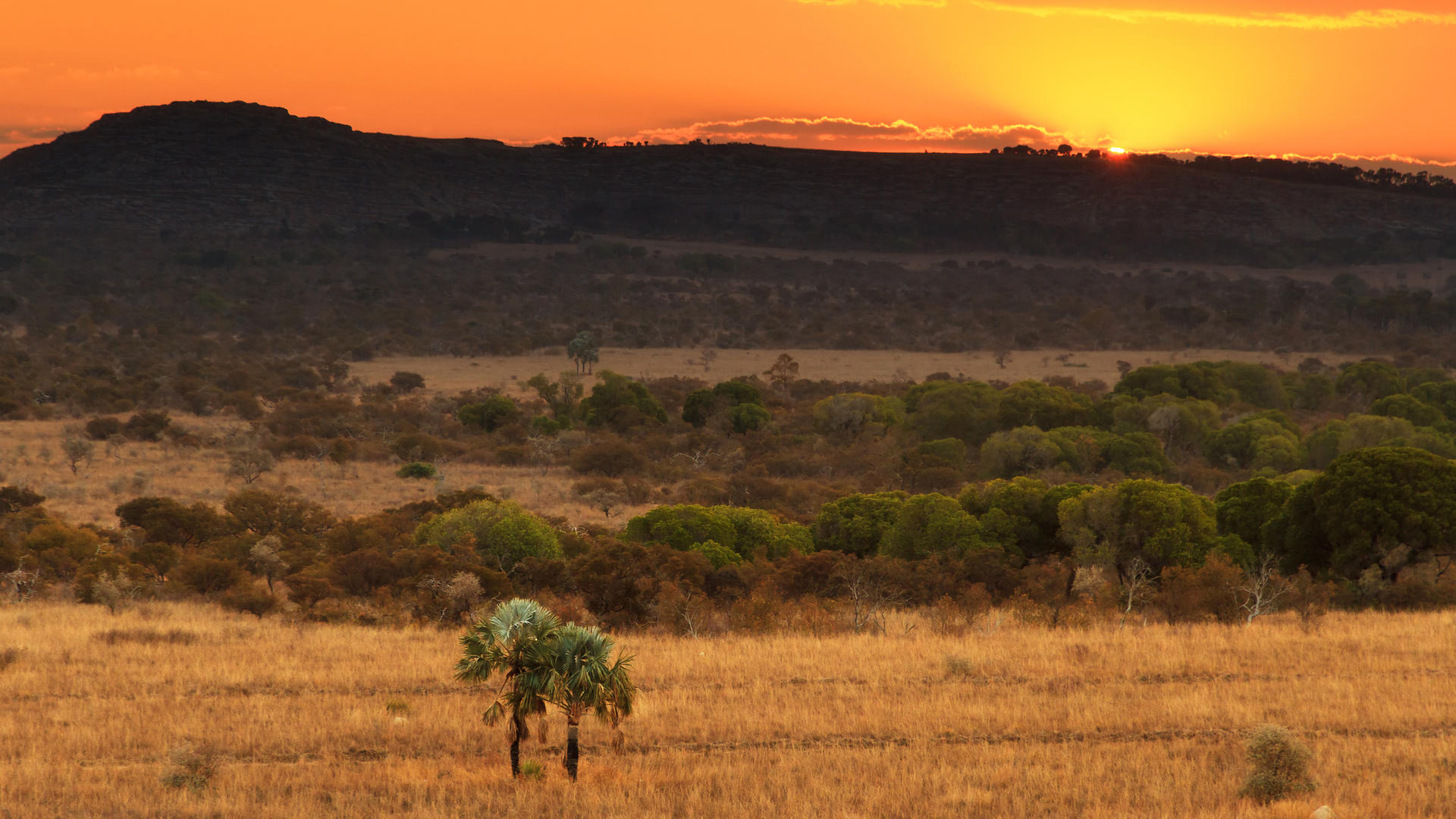 Madagascar's highlights with a bird's eye view